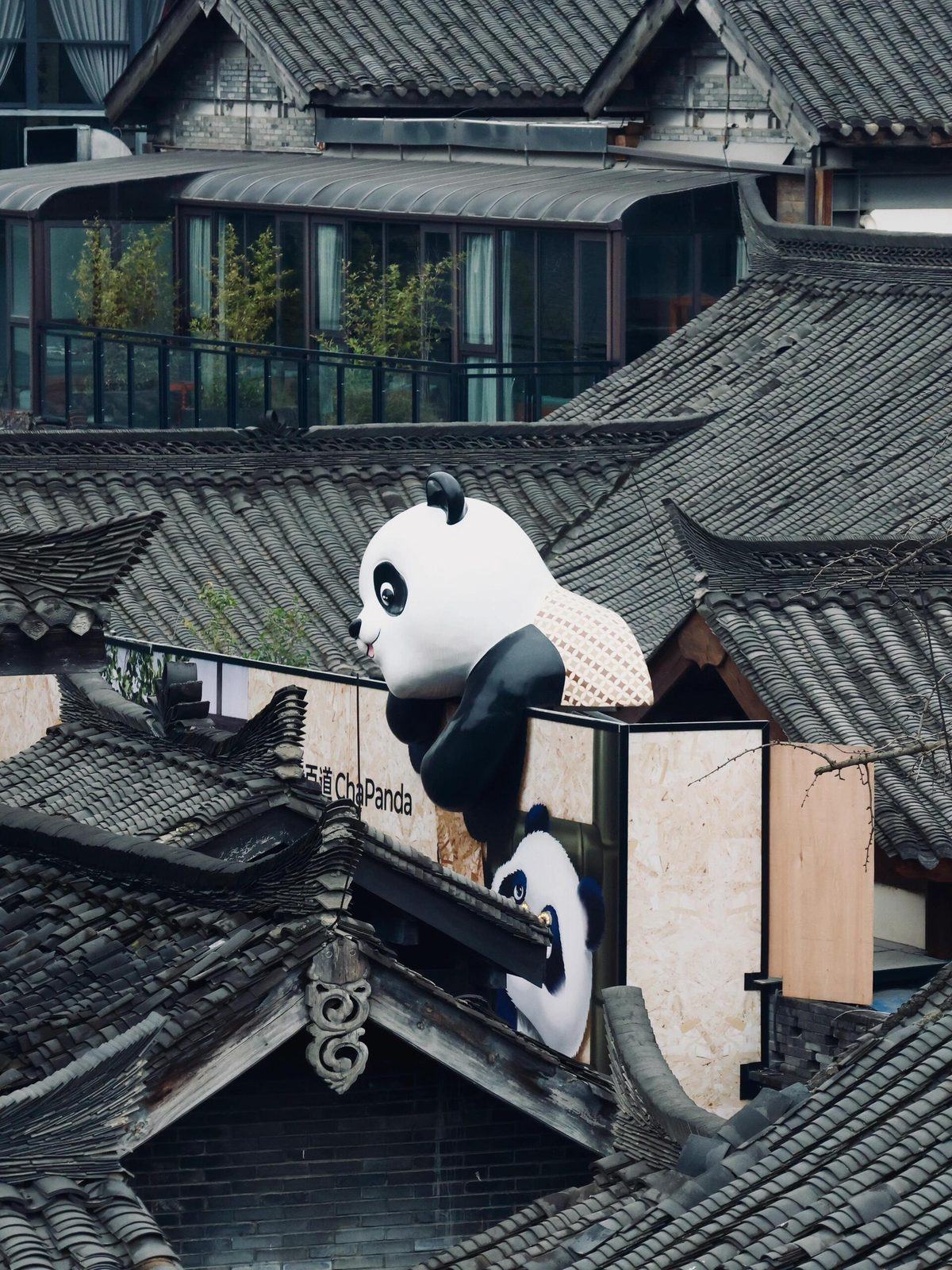 成都文化之旅