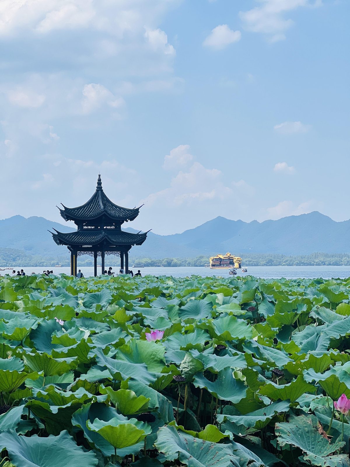 上海都市风情 · 乌镇西栅